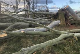 Storm Arwen caused chaos in Northumberland and the Borders last year.
