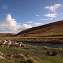 Upper Coquetdale in Northumberland.