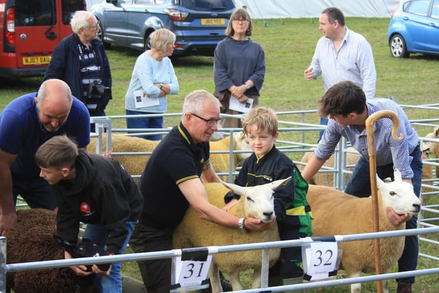 Sheep classes at Harbottle Show.
