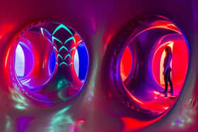 Luminarium Arborialis by Architects of Air.