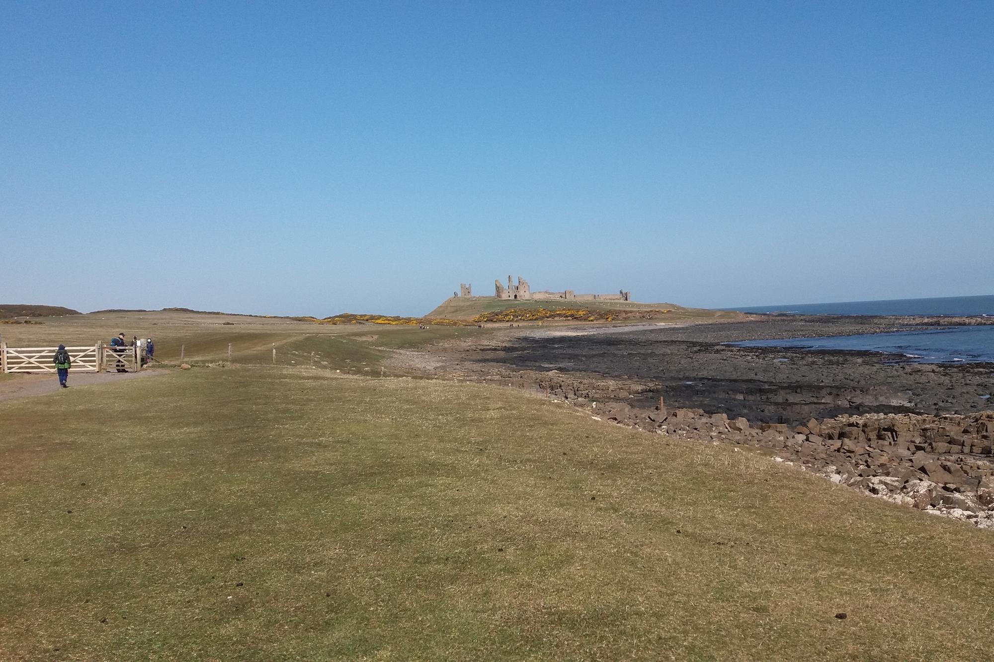 Craster to Dunstanburgh route in Northumberland is named in the top five best dog walking destinations