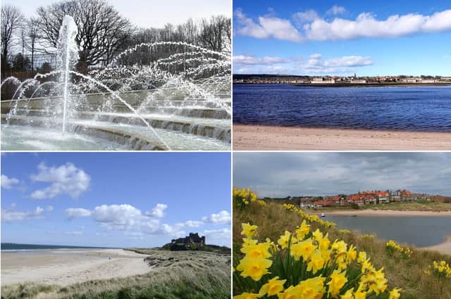 International Happiness Day in Northumberland.