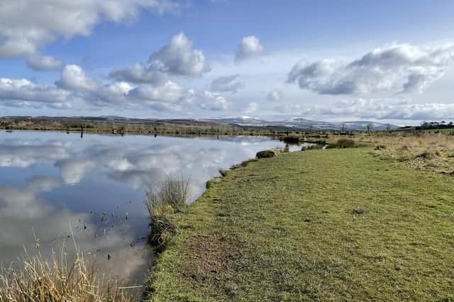 Chatton hosts the Puddle Pairs competition on Sunday. Picture: Bob Smith