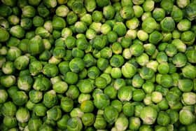 A picture of Brussels sprouts from Pixabay.
