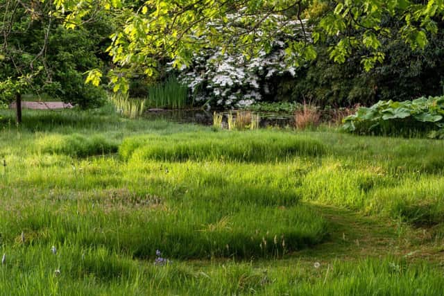 Northumberland gardeners are being encouraged to let their lawns grow longer.