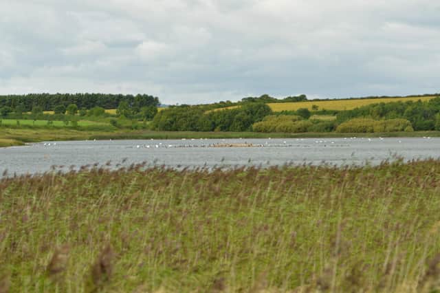 View of East Chevington Nature Reserve. Picture by Steven Morris.