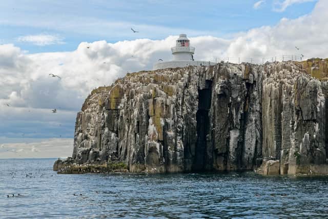 The Farne Islands, cared for by the National Trust, are home to thousands of puffins and other seabirds which return to breed each year. Picture: National Trust/Nick Upton