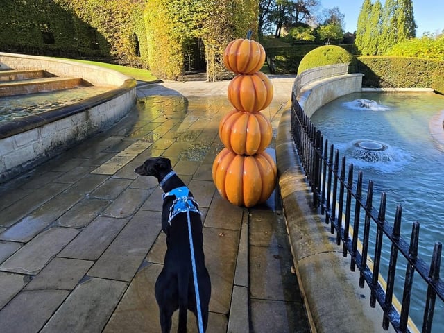 Alnwick Garden is embracing the spirit of Halloween.