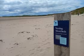 The approach to the Long Nanny site in Beadnell.