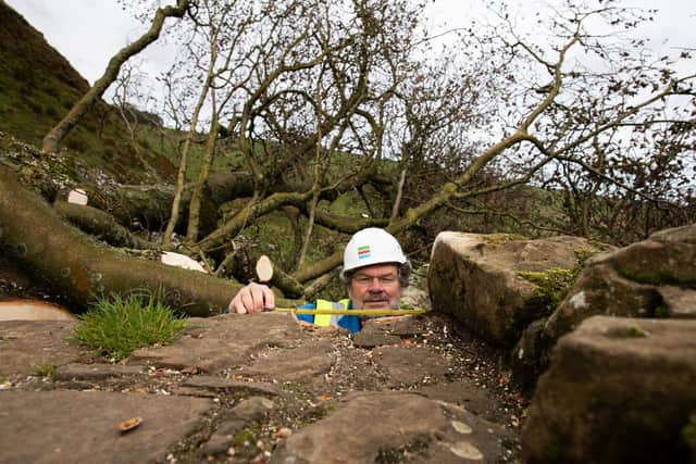 Tony Wilmott, senior archaeologist at Historic England, assessed the damage to the wall at Sycamore Gap. (Photo by National Trust)