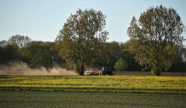 Ministers hope the scheme will create opportunities for a younger, more eco-savvy, generation to own farmland. Picture by Oli Scarff/Getty Images.