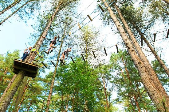 Go Ape, where you can swing through the trees and fly down the zip wires in a treetop adventure. swing through the trees and fly down the zip wires. It is the first Go Ape to be built in the grounds of a country house hotel. Visit goape.co.uk/locations/matfen