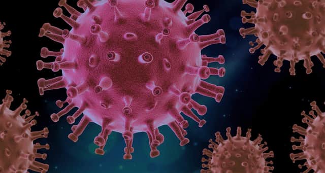 Northumberland records its deadliest coronavirus month since March.
