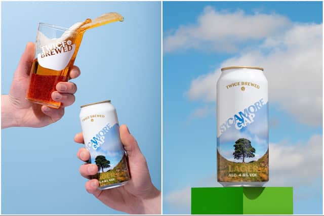 The lager is in tribute to the iconic Sycamore Gap tree and holds its image on the can.