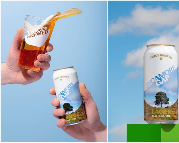 The lager is in tribute to the iconic Sycamore Gap tree and holds its image on the can.