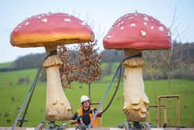 The huge model fungi on their 331 mile trip.