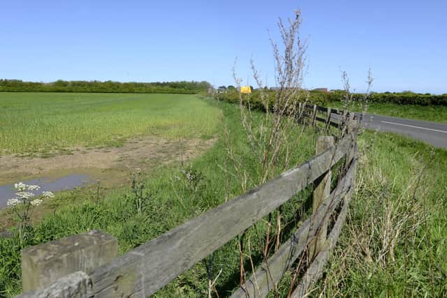 The site near Gloster Meadows in Amble where 185 homes have been approved.