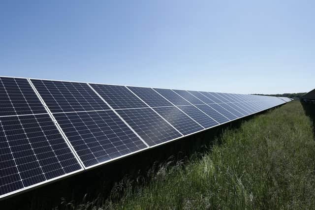 The solar farm will cover 79 hectares.