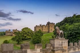 Alnwick Castle has put a range of measures in place to keep people safe after it opened its gates to visitors following the easing of lockdown rules.