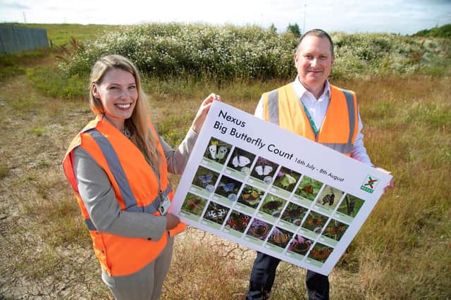Metro Development Director Neil Blagburn and Project Manager Tabitha Callaghan at the conservation area.