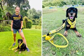 Sarah Jones, founder of My Anxious Dog, will be hoping to educate visitors on why #dogsinyellow is such an important movement.