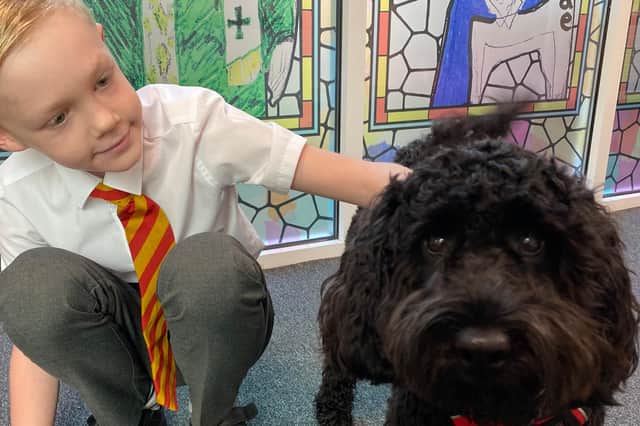 Mac the dog with a pupil at St Bede's Catholic Primary in Bedlington.