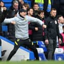 Thomas Tuchel's sacking as manager of Chelsea sent shockwaves through the Premier League (Photo by Clive Mason/Getty Images)