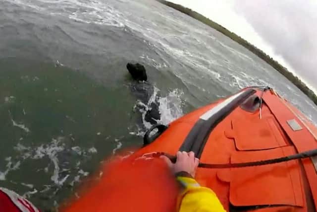 The dog had to be saved after being swept out into sea by strong winds off Seaton Sluice.