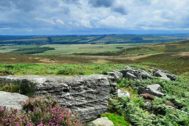 Caudhole Moss, on the Rothbury Eestate.