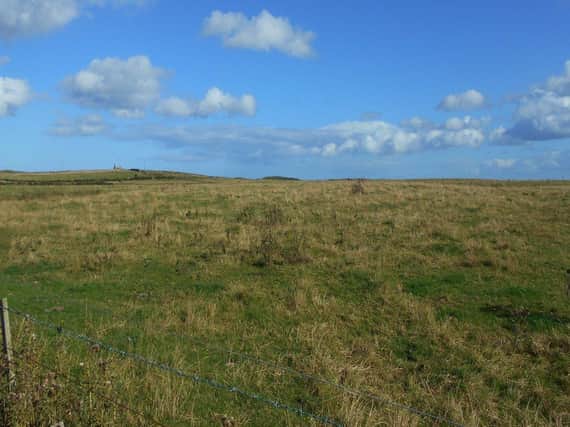The proposed site of the opencast mine.