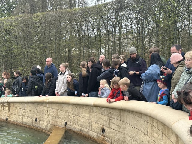 Spectators at the Grand Cascade.
