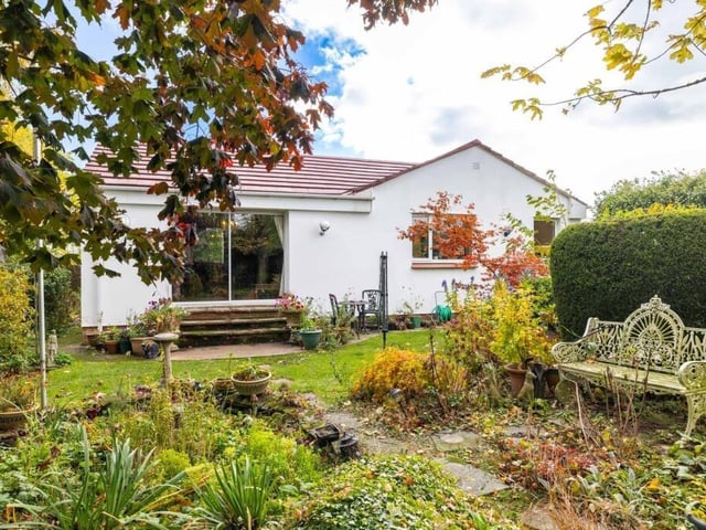 Garden area.