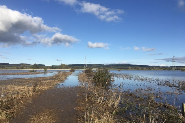 Flooded fields at Ewart, near Wooler.
