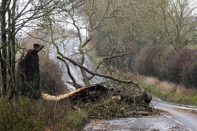 Storm damage in Northumberland.