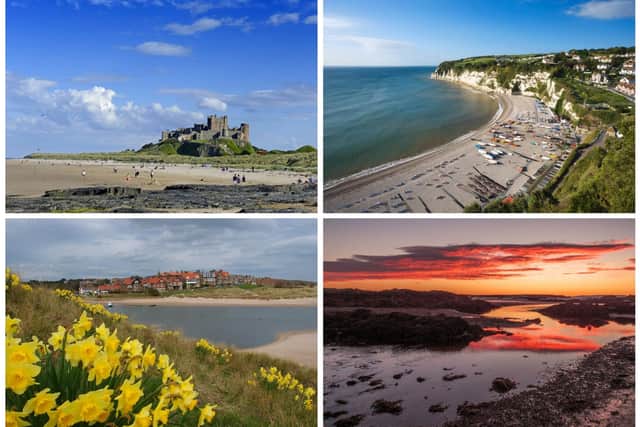 Clockwise from top left, Bamburgh, Beer, Arisaig and Alnmouth. Pictures: National World/Getty