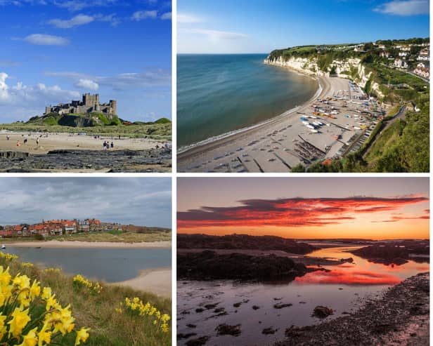 Clockwise from top left, Bamburgh, Beer, Arisaig and Alnmouth. Pictures: National World/Getty