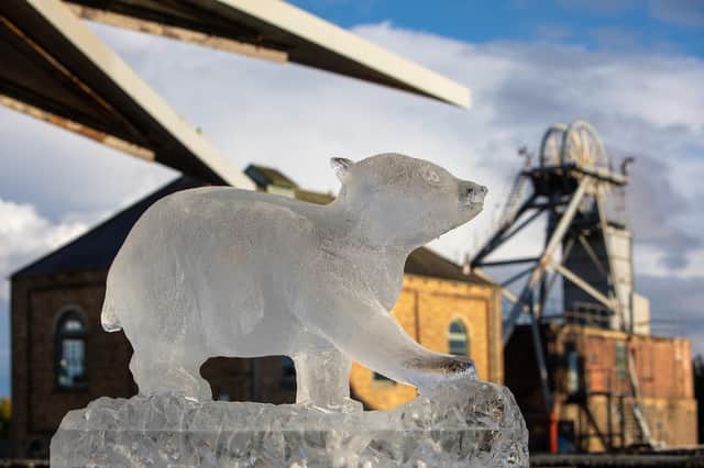 The ice trail at the Woodhorn Museum will take place over two days in the new year.