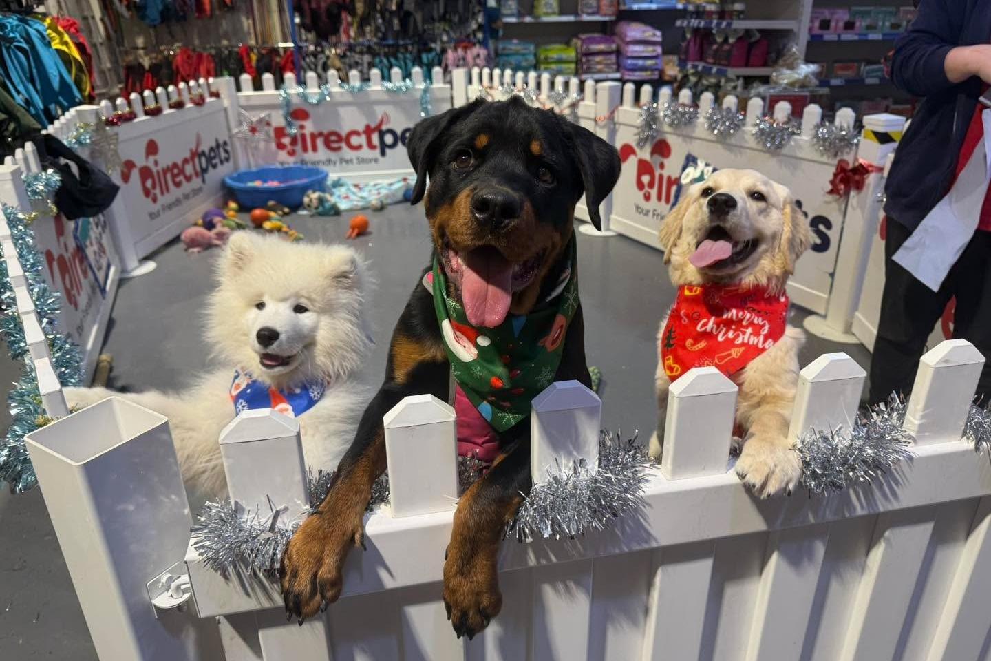Pet Shop of the Year for the North East award delight for Tom and team