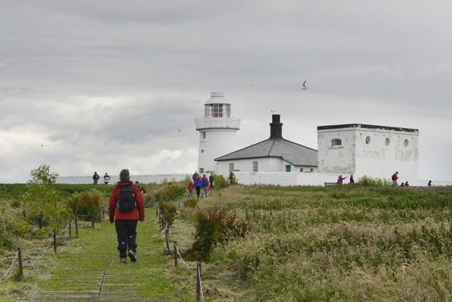The Farne Islands will at times have an abundance of nesting birds, including the iconic puffin and Arctic terns. No visitor landings at the moment, but sailing tours around the islands continue to be offered by local boat operators.