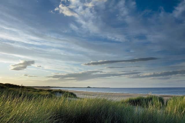 Holy Island, seen in the distance from Ross Back Sands.