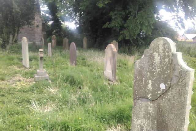 Overgrown graves at the All Saints Church in Rennington, Northumberland. Photo: James Plenderleith.