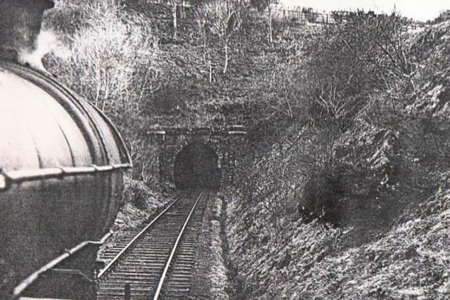 Hillhead Tunnel between Edlingham and Whittingham. The only tunnel on the line.