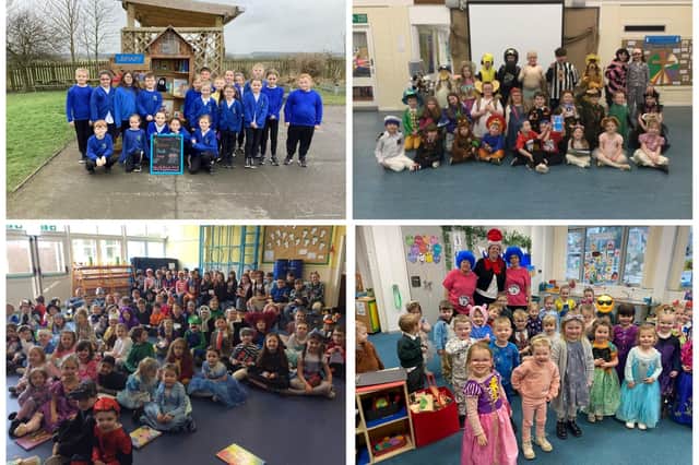 World Book Day in Northumberland schools.