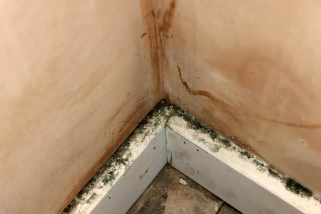 Mould in the living room of Dean Clifford's home in Cramlington.