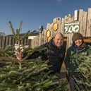 The donated trees will be used for animals and for biomes energy recycling. Picture: Phil Wilkinson / The Alnwick Garden.