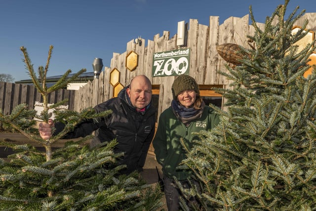 The donated trees will be used for animals and for biomes energy recycling. Picture: Phil Wilkinson / The Alnwick Garden.