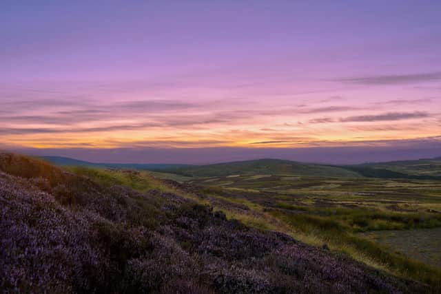 View of Harthope Valley by Charlotte Young, winner of the 2020 Ad Gefrin photography competition.