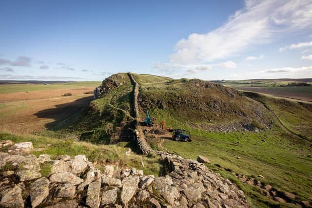 The Sycamore Gap tree at Hadrian's Wall is moved by crane. Picture: National Trust/Bec Hughes