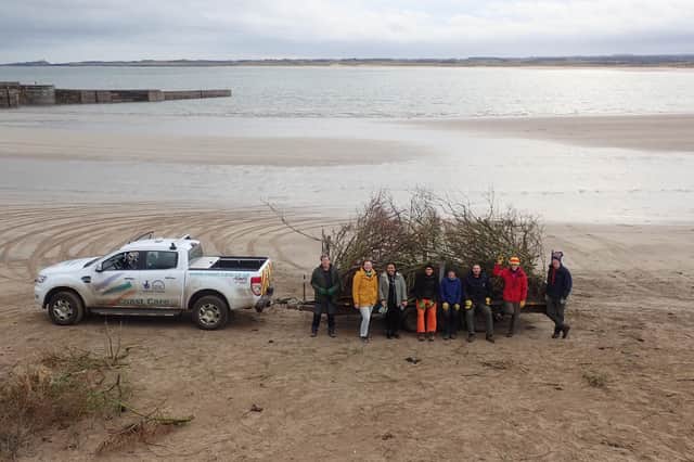 Coast Care volunteers clearing invasive vegetation from the dunes in Beadnell