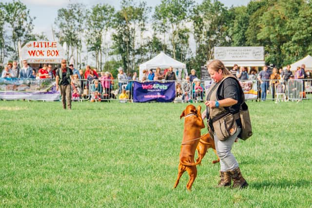 The North East Dog Festival venue is the Kirkley Hall Campus near Ponteland. Picture by Ben Heward.